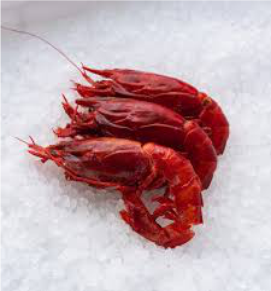 Red Prawns / लाल कोळंबी